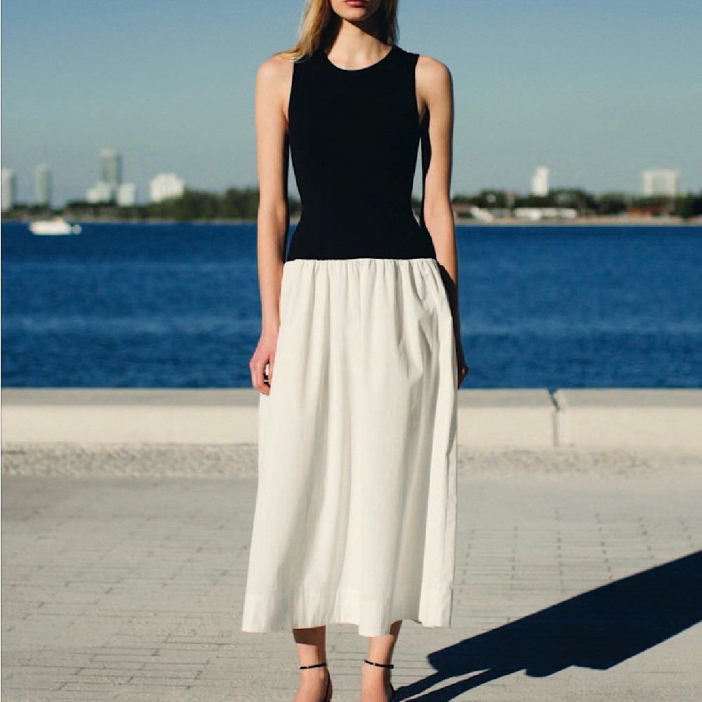 Never Worn! Aritzia Worldly Dress
